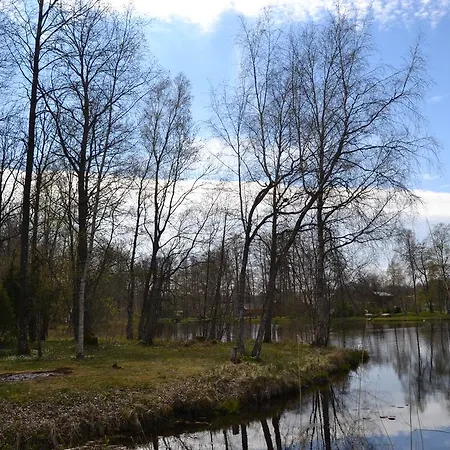 Saarenmaa With Sauna